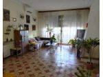 Casa singola in vendita a Pisa 320 mq  Rif: 1446883