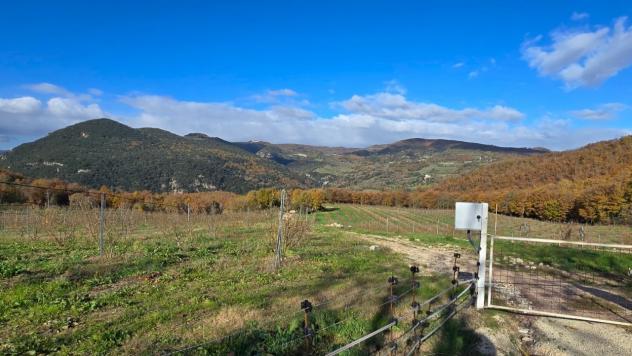 Azienda Agricola in vendita a Baschi - Foto 13