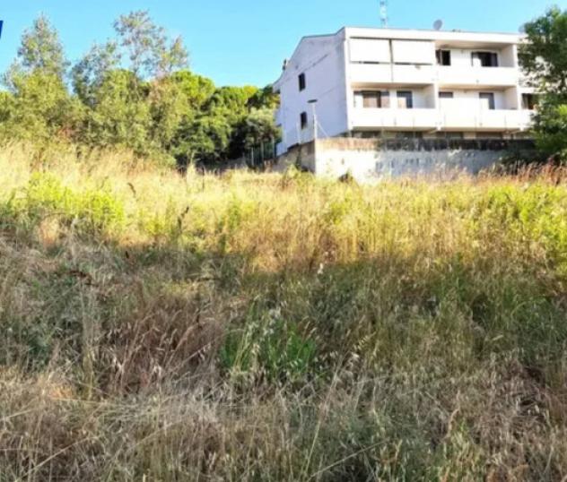 Immobile in asta di 727 m² in vendita a Bertinoro - Foto 4