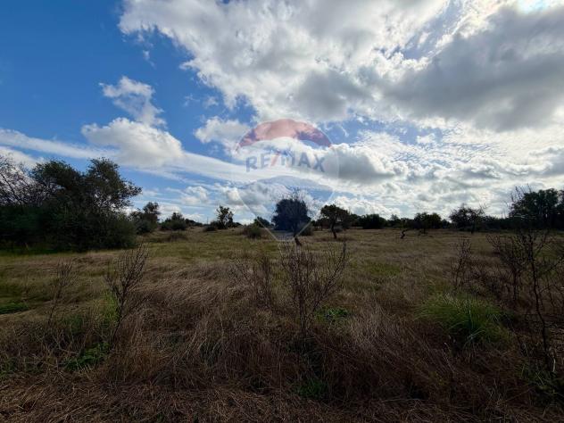 Terreno in vendita a Chiaramonte Gulfi - Foto 8