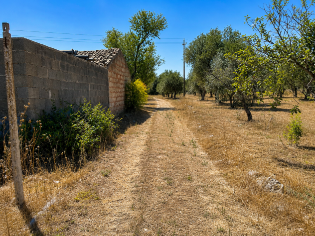TERRENO IN VENDITA - Foto 6