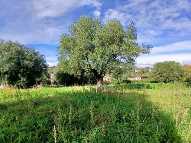 Terreno edificabile in vendita a Morlupo - Foto 10