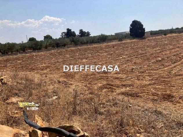 V2499 - In vendita a Trapani terreno agricolo - Foto 4