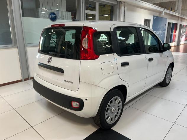 FIAT Pandina Pandina 1.0 firefly hybrid Icon - Foto 5