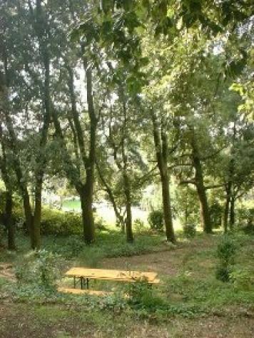 Villa in vendita a Lari - Casciana Terme Lari 1500 mq Rif: 550418 - Foto 5