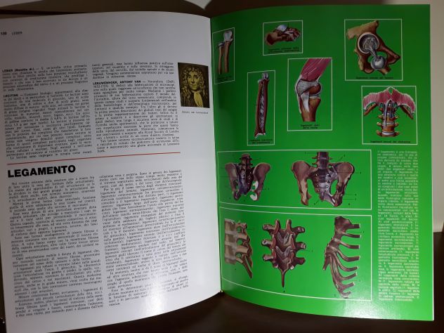 Enciclopedia Medica - Foto 5