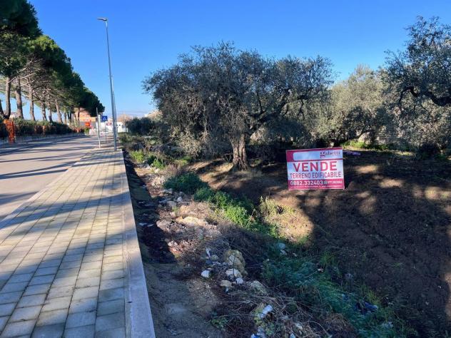Terreno Residenziale - San Severo . Rif.: Cod. rif 3276742VRG - Foto 3