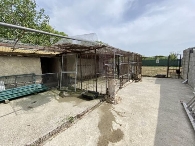 A649. SOLIERA. PORZIONE DI CASA CON 1000 MQ DI GIARDINO - Foto 5