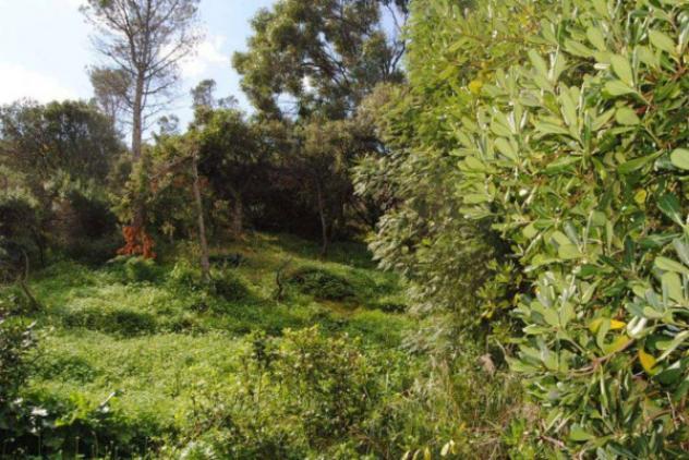 Immobile in asta di 17480 m² in vendita a Villacidro - Foto 6