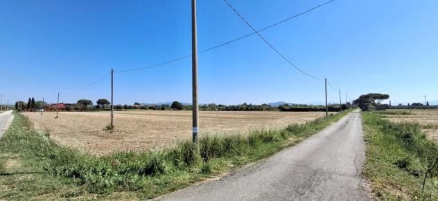 Terreno agricolo in vendita a Grosseto 22000 mq Rif: 1407583 - Foto 4