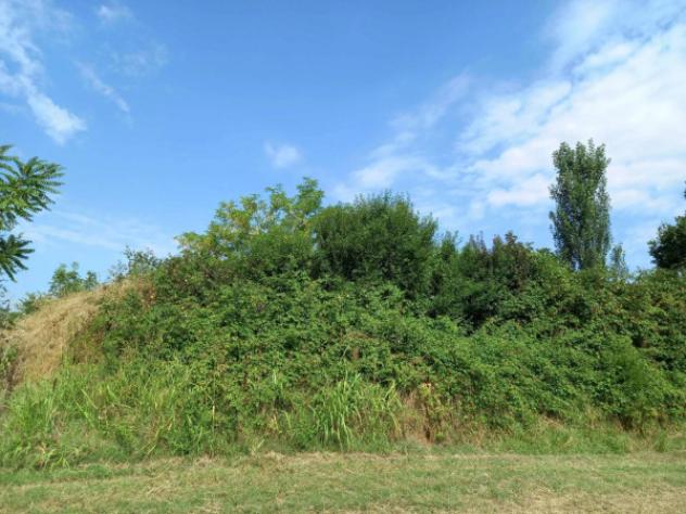 Immobile in asta di 5490 m² in vendita a Sant'Ilario d'Enza - Foto 3