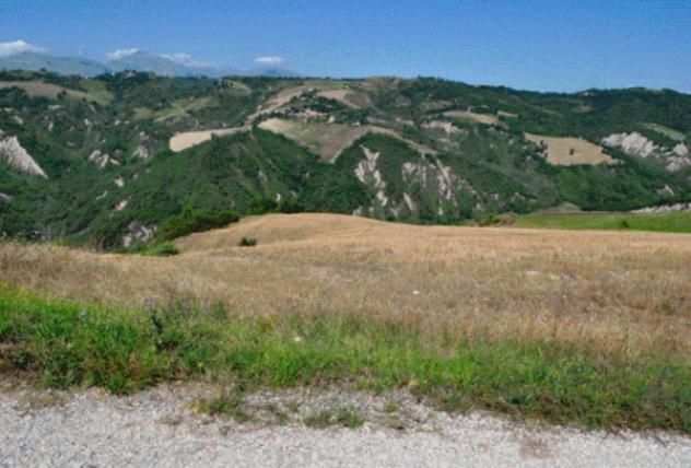 Immobile in asta di 378 m² in vendita a Venarotta - Foto 2