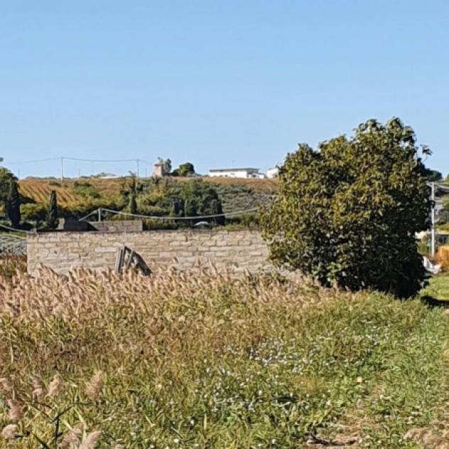Immobile in asta di 5080 m² in vendita a Casalbordino - Foto 2