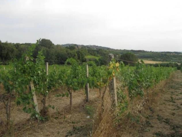 Immobile in asta di 151463 m² in vendita a Grottaferrata - Foto 6