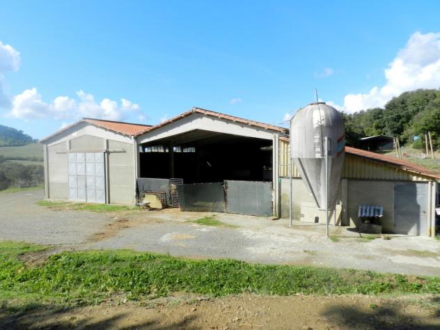 Casale in vendita a Montecatini Val di Cecina - Foto 16
