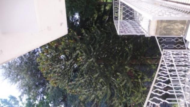 Bifamiliare in vendita a Sassello - Foto 17