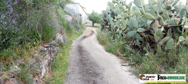 Trabia (PA) – Contrada Danigarci vendesi villetta unifamiliare - Foto 5