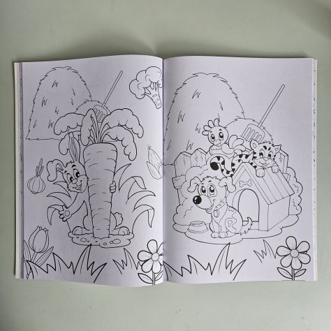 Libro da Colorare, Colouring Book - Furetto A4 - 2026 - TRACCIATA!! - Foto 4