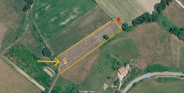 CASA DI CAMPAGNA immersa NEL VERDE con 6.200 mq. di TERRENO AGRICOLO - Foto 10