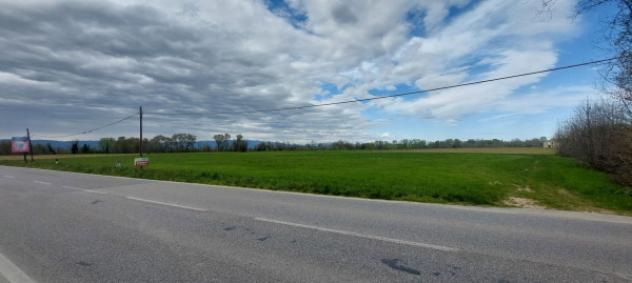 Terreno di 34149 m² in vendita a Piazzola sul Brenta