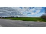 Terreno di 34149 m² in vendita a Piazzola sul Brenta