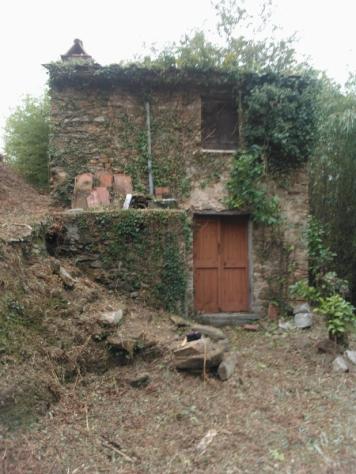 Collina di Pietrasanta-Rustico da ristrutturare con terreno Panoramico vista mare