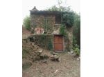 Collina di Pietrasanta-Rustico da ristrutturare con terreno Panoramico vist &hellip;
