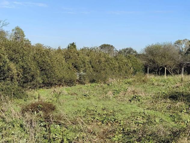 Agricolo in Via Isillo - Foto 2