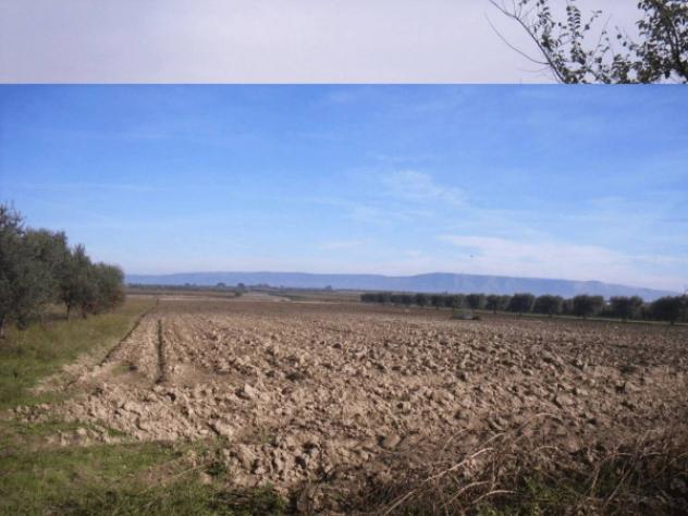 Immobile in asta di 9259 m² in vendita a San Severo - Foto 4