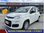 FIAT Panda Pandina 1.0 65 CV Hybrid Icon PROMOZIONE LIMITATA!!