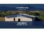 Immobile in asta di 5654 m² in vendita a Lattarico