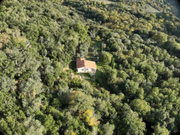 Immobile in asta di 128 m² con più di 5 locali in vendita a Scansano - Foto 4