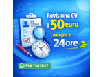 Revisione Curriculum