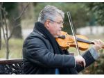 Violinista Lugano
