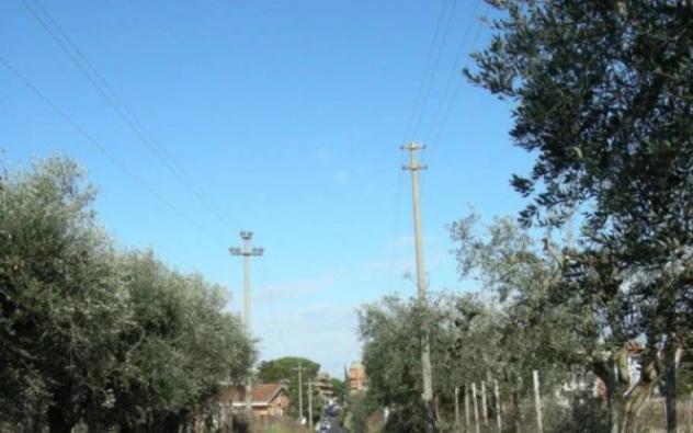 Immobile in asta di 6756 m² in vendita a Marino - Foto 12