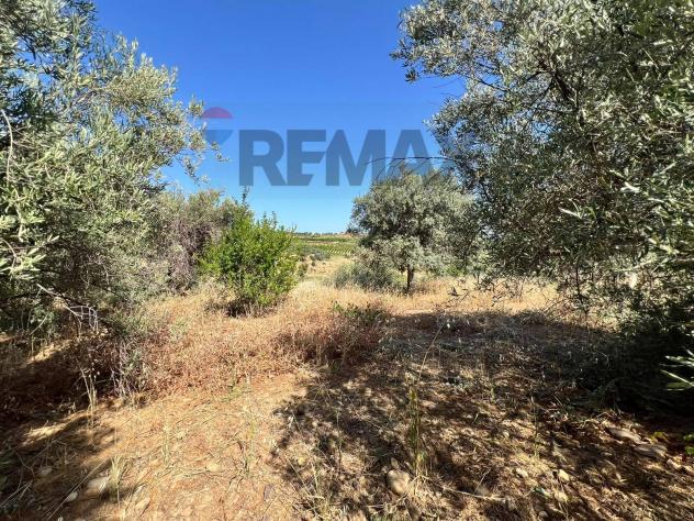 Terreno in vendita a Motta Sant'Anastasia - Foto 10