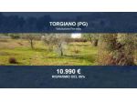 Immobile in asta di 588 m² in vendita a Torgiano