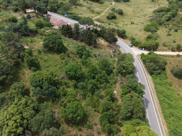 Casa singola in vendita a Luogosanto 55 mq Rif: 1413418 - Foto 4