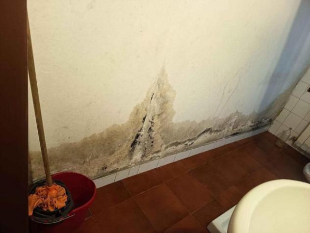 Immobile in asta di 34 m² in vendita a Rovigo - Foto 8