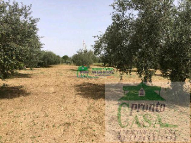 TERRENO AGRICOLO CON POSSIBILITA' EDIFICATORIA - Foto 2
