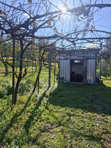 TERRENO AGRICOLO IN VENDITA Palombara Sabina (RM) - - Foto 6