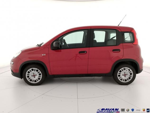 FIAT Pandina Panda 1.0 FireFly 65 CV Hybrid Icon - Foto 6