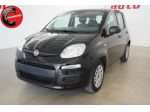 FIAT Panda 1.0 FireFly S&S Hybrid rif. 23764894