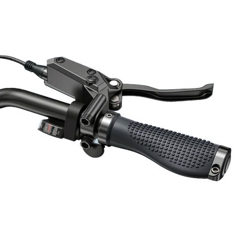 Engwe Engine Pro 3.0 Boost Fat Bike Pieghevole 250W 48V - Foto 5