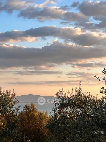 Passignano sul Trasimeno vendesi terreno edificabile 750 Mq - Foto 3