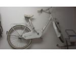 Bicicletta pieghevole