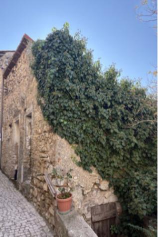 Immobile in asta di 81 m² in vendita a Roviano - Foto 3