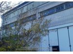 IMMOBILI-IMMOBILE COMMERCIALE-Via Frazione Avacelli n. 166