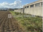 Terreno in vendita a Cesena - Rif. 4556602