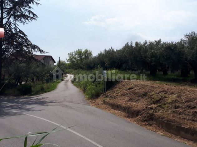 Feroleto Antico vendesi terreno residenziale 1000 Mq - Foto 6